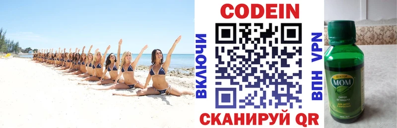 Купить закладки  Новотитаровская  Codein Purple Drank 