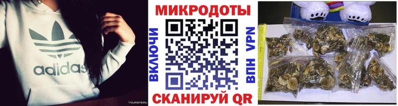 Галлюциногенные грибы ЛСД  Купить закладки  Новотитаровская 